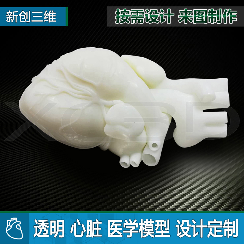 透明心脏模型教学教具医学定制