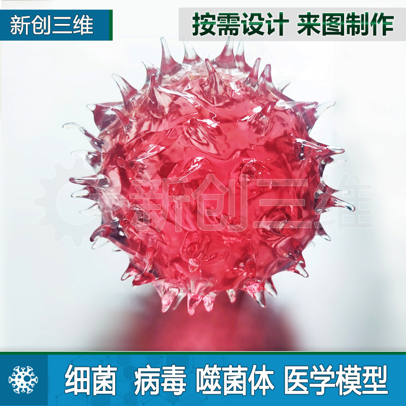 透明病毒细菌模型医学医疗定制噬菌体腺3D打印摆件礼物教学教具