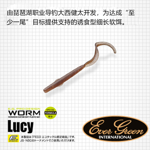 EG Evergreen路亚软饵LUCY长卷尾大西健太助攻型细长软饵铅头钩