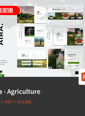 【PPT-354】Aira农业生态绿色种植业自然粮食农村养殖业PPT模板