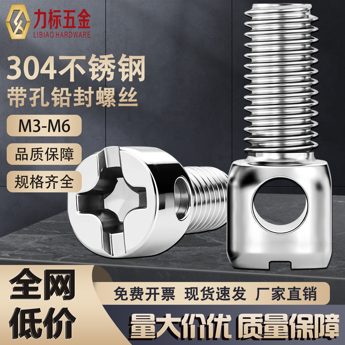 304不锈钢带孔铅封电表螺丝