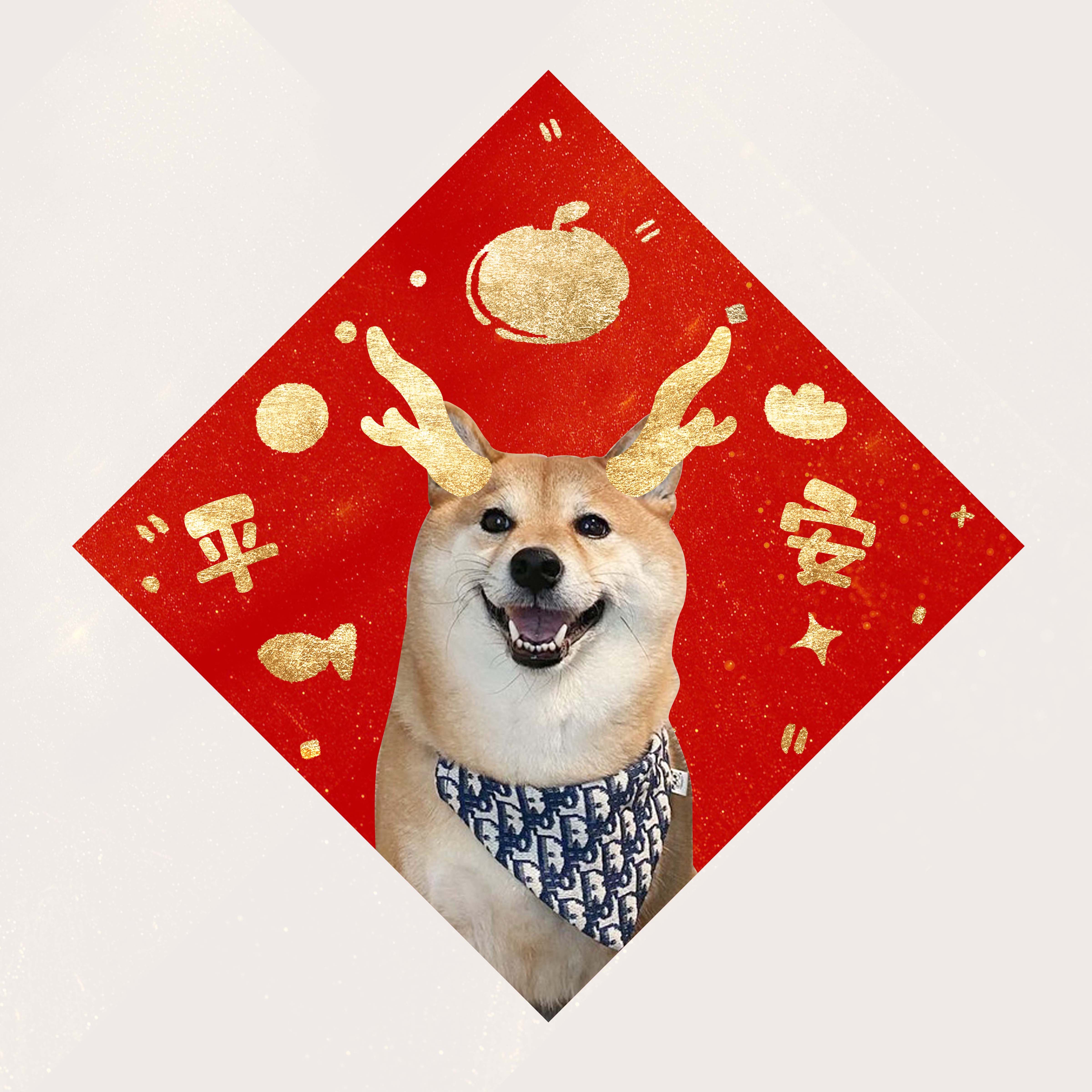 2026马年萌宠猫咪狗福字来图定制春节过年布置新年装饰品,节庆用品/礼品,福字/窗花/窗贴,淘宝优惠券,粉丝福利购,淘宝优惠卷