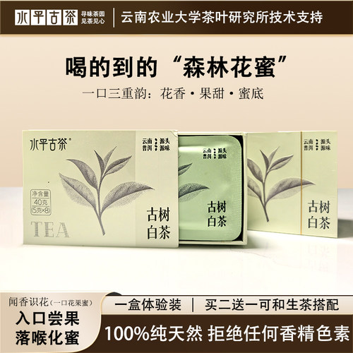 水平古茶小方片古树白茶