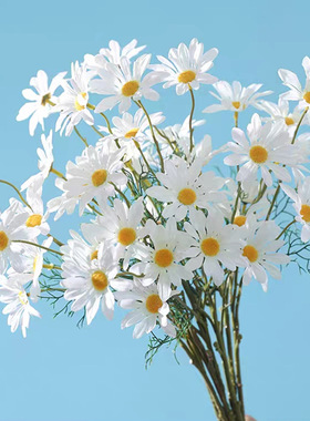 小雏菊仿真花假花干花花束客厅摆设花家居装饰塑料花餐桌花艺摆件