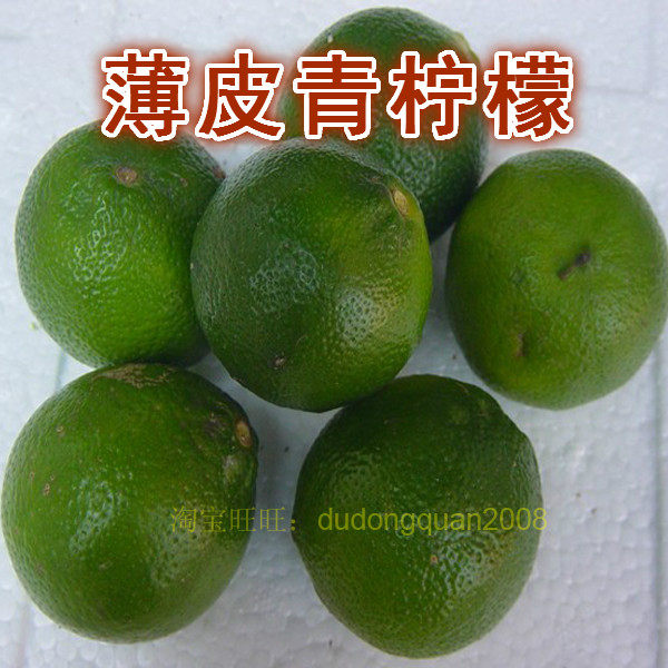 新鲜小青柠檬 皮薄多汁 推荐5斤  奶茶店云南越南餐厅用