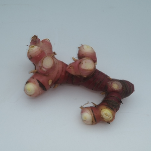 新鲜南姜  山姜潮汕牛肉卤味冬阴功汤料