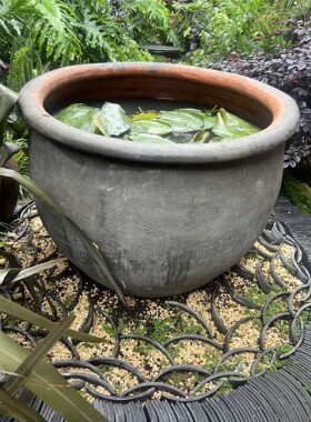 包邮无釉老北京土陶盆大鱼缸泥瓦金莲荷花睡莲养客厅陶瓷老盆