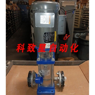 SS多级离心泵 4英寸 230VAC1SVD1F4 115 工业配件G&L