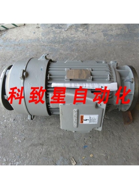 工业配件立式20马力电机 RGZVESD 460V RPM 1755