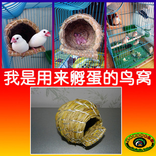 七彩文鸟鸟窝珍珠鸟窝十姐妹手工编制草窝绣眼鸟巢虎皮鹦鹉鸟窝