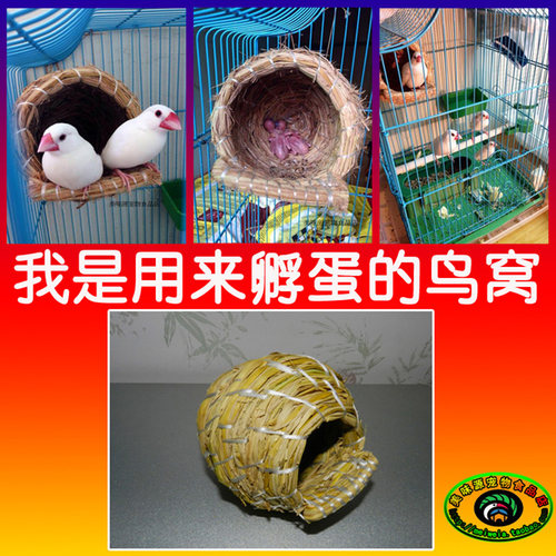 七彩文鸟鸟窝珍珠鸟窝手工编制