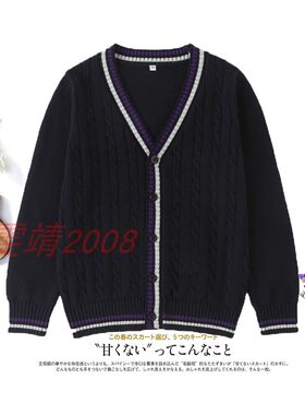 小学生春秋校服休闲英伦长袖毛衣