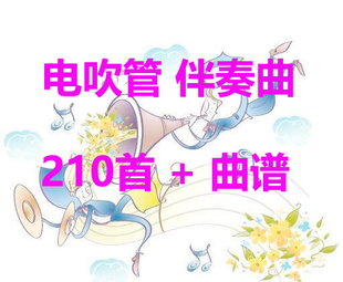 雅佳罗兰电吹管电子吹管乐器简谱210首伴奏曲U盘1000首优盘配件
