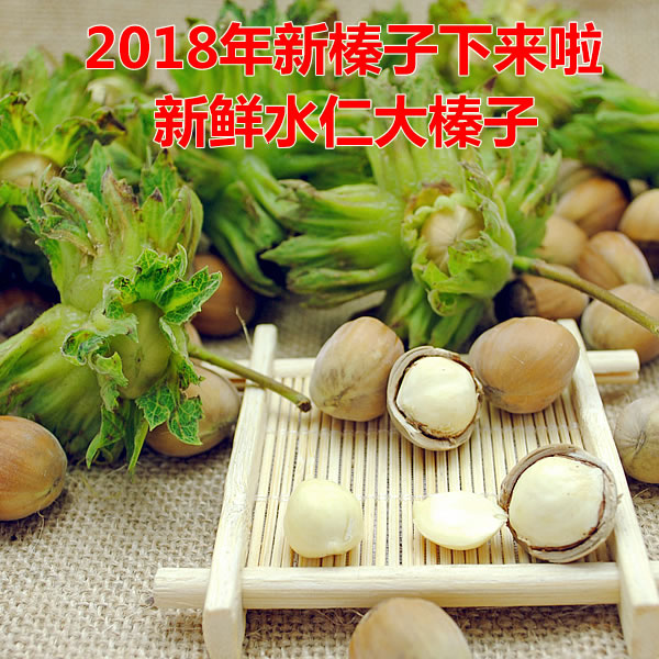 2018年新鲜大榛子东北野生带皮水仁水瓤桓仁平欧鲜生榛子新货500g