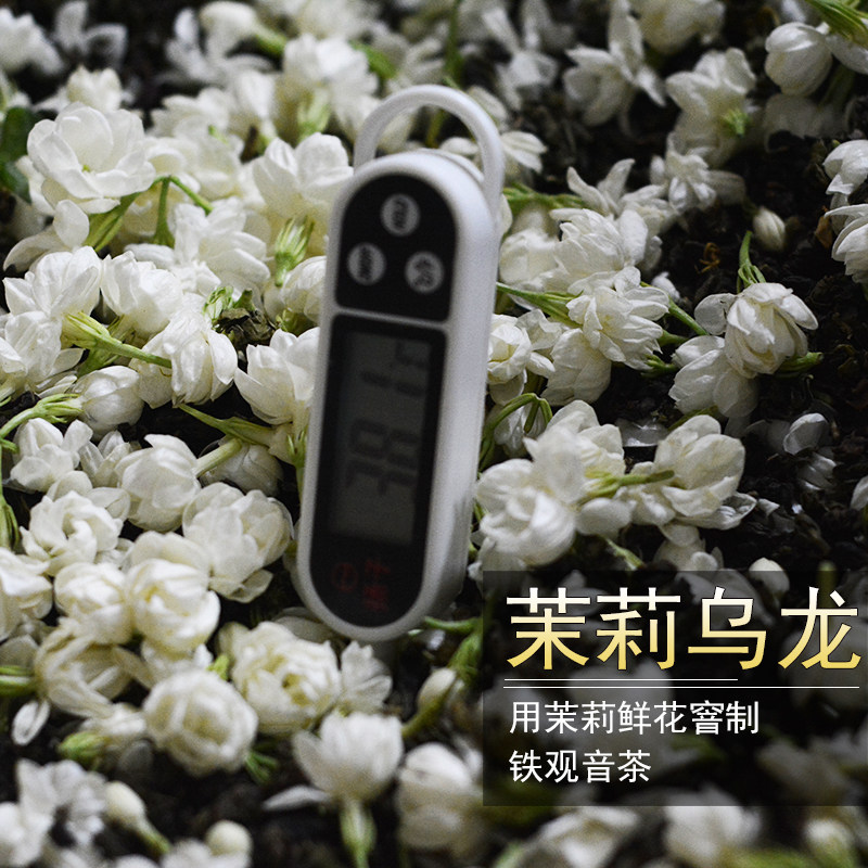 茉莉花茶乌龙【茉莉铁观音】2025年新茶福州创新窨制清香型100克