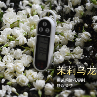 茉莉花茶乌龙 2025年新茶福州创新窨制清香型100克 茉莉铁观音