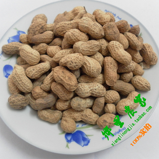 江西石城特产翻秋花生原味花生