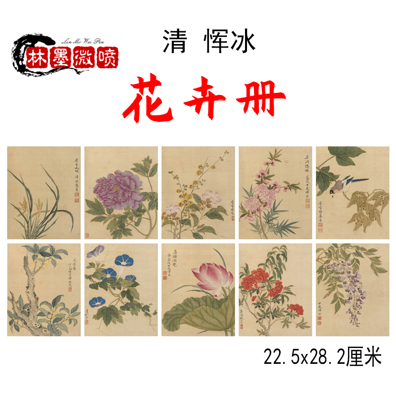 清 恽冰花卉册国画高清微喷绢布艺术布临摹画稿工笔酒店民宿装饰图片