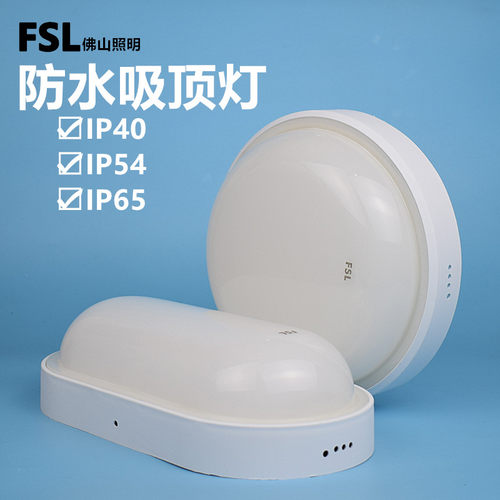 FSLledIP54级防水吸顶灯椭圆形