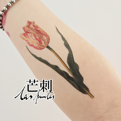 芒刺文身贴|郁金香|防水持久彩色彩绘红色纹身贴花小众风高级感