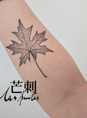 芒刺原创文身贴|枫叶(2)|手绘防水文艺小众仙气风高级感纹身贴
