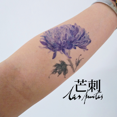 芒刺原创|紫菊花|国风彩绘彩色防水持久新中式纹身贴小众风高级感