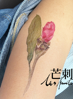 芒刺原创|姜荷花|国风彩绘彩色防水持久新中式纹身贴|文艺 高级感