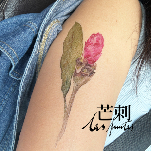 芒刺原创|姜荷花|国风彩绘彩色防水持久新中式纹身贴|文艺 高级感