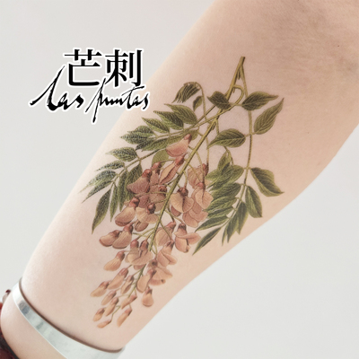 芒刺文身贴|中国紫藤|防水持久彩色彩绘纹身贴花小众风高级感