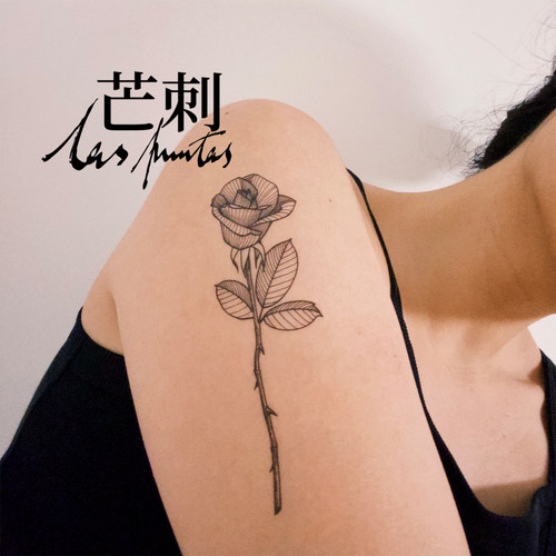 芒刺原创文身贴|玫瑰花|手绘防水持久文艺小众风高级感花朵纹身贴