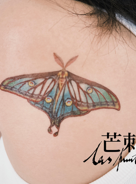 芒刺原创|某种大蚕蛾科鳞翅目蛾|手绘彩色防水持久纹身贴高级感