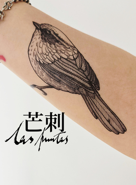 芒刺原创文身贴|褐胁雀鹛|黑色手绘防水持久鸟纹身贴小众风高级感