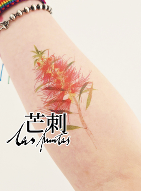 芒刺原创|红千层|红色彩绘彩色防水持久纹身贴花小众风高级感