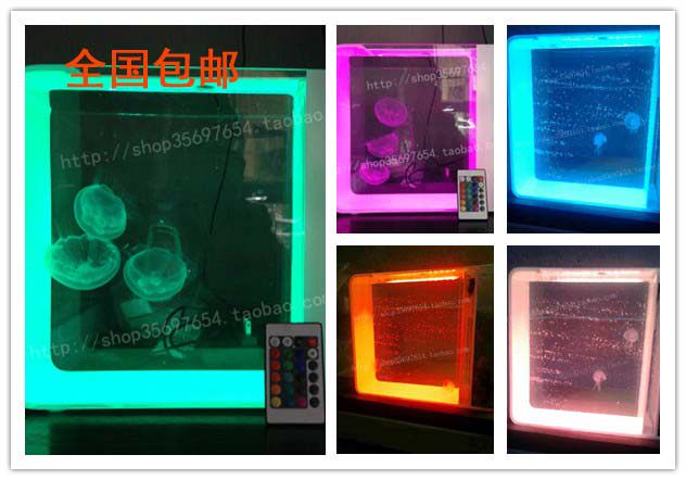 变色专业水母缸家庭宠物活体小型