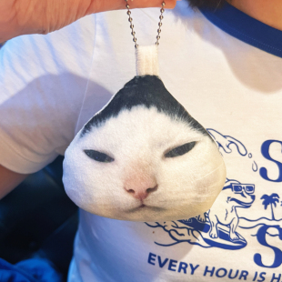 *原创 萌萌猫咪祈福毛绒挂件 解压包挂