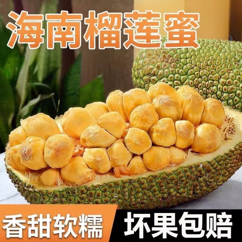 海南榴莲蜜巴掌榴莲水果