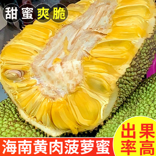 海南黄肉菠萝蜜新鲜水果波罗蜜当季特产一整个20-40斤整箱包邮红