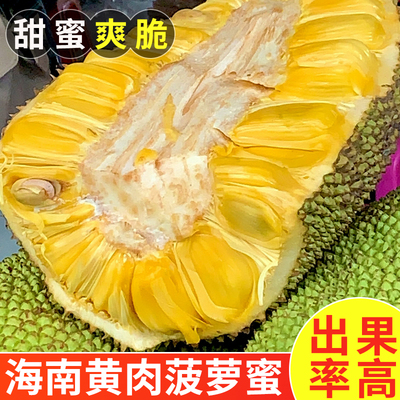 海南黄肉菠萝蜜新鲜水果波罗蜜当季特产一整个20-40斤整箱包邮红