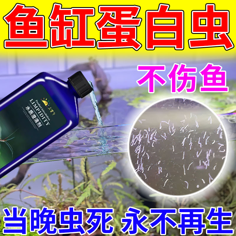 鱼缸除蛋白虫观赏鱼除虫专用药鱼虫净寄生虫敌百虫鱼药杀虫清除剂