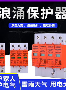 浪涌防雷保护器家用2P4P避雷器电涌保护器20 40 60KA二级浪涌380V