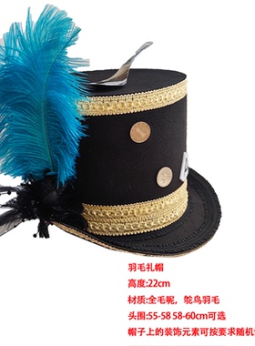 万圣节COS走秀礼帽复古风蒸汽朋克帽子复古疯帽罗宾汉牛仔羽毛帽