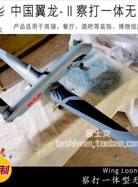 翼龙无人机Wing Loong UAV长航时侦察打击一体型无人机翼龙2H吊饰