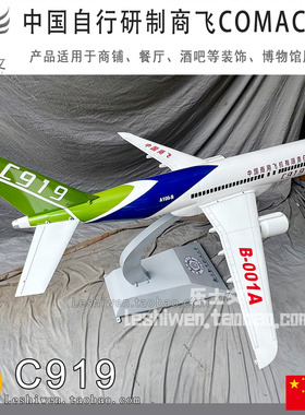 中国商飞 C919 铁艺客机模型国产仿真大飞机展馆科普展览装饰摆件