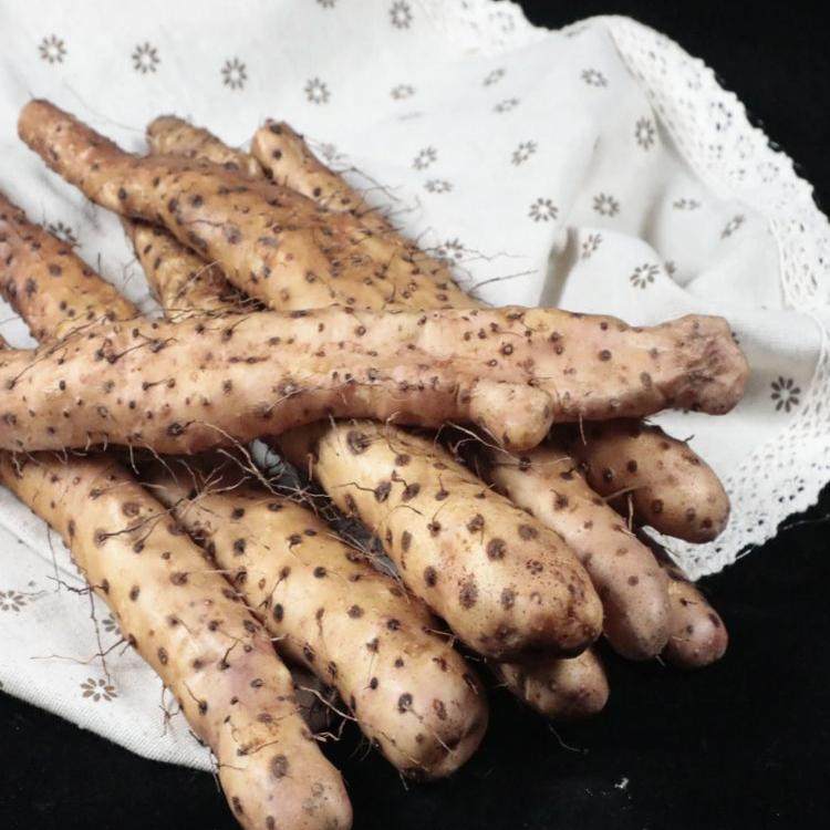 正宗新鲜焦作温县垆土怀铁棍山药农产品产地直销特产净重3斤包邮