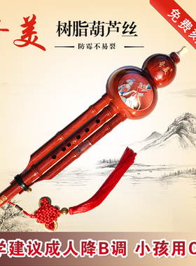 奇美牌树脂葫芦丝C调降B调G调F调儿童成人学生初学者专业演奏乐器