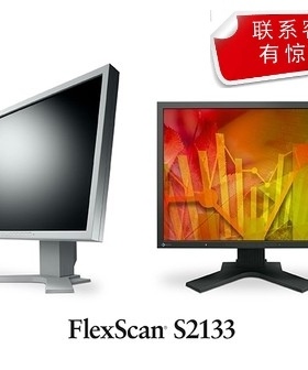 EIZO/艺卓S2133 方正屏RX250 MX216医疗诊断显示器2M国行21寸 NEC