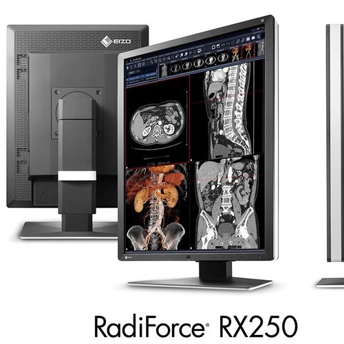 EIZO艺卓RadiForceRX250显示器