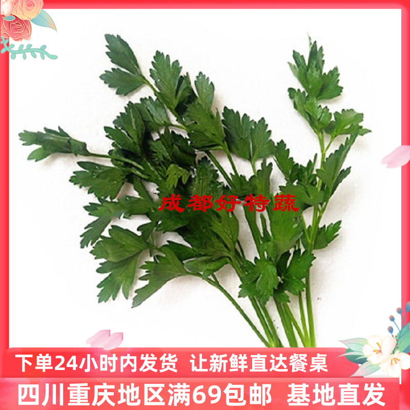 新鲜意大利芹欧芹平叶芹西餐香料特色食材parsly顺丰包邮100克