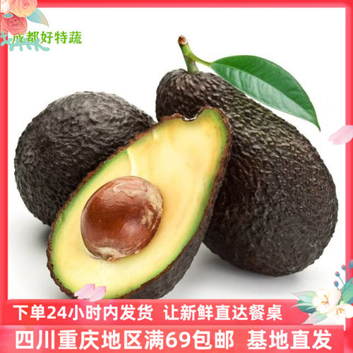 牛油果大果新鲜 水果鳄梨水果沙拉顺丰包邮 Avocado单果1个
