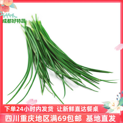 成都好特蔬细香葱法葱新鲜西式香料特色食材顺丰包邮Chives 100G